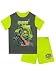 Ben 10 Boys Pajamas Green Size 6