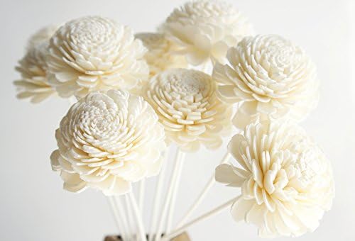 Exotic Plawanature Set of 10 Jasmine Design 2 Inch Sola Wood Flower with Reed Diffuser for Home Fragrance Aroma Oil.