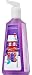 Bath and Body Works Sugar Plum Dream Antibacterial Deep Cleansing Hand Soap 2013 design