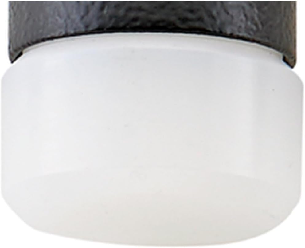 Stahlwille 70190130 Dead Blow Hammer with Interchangeable Heads and Hickory Handle Perfect for Automotive, Metal Forming, Woodworking, d.30 mm 460 g