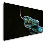 Schlange 120x 60cm Panorama Leinwand Bild XXL Format 