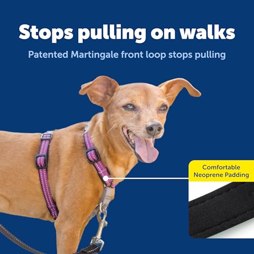 Image of PetSafe 3in1 Harness, from The Makers of The Easy Walk Harness, Fully Adjustable No-Pull Dog Harness