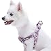 Blueberry Pet 2 Patterns Soft & Comfy Step-in Rose Flower Prints Girly Padded Dog Harness, Chest Girth 20" - 26", Medium, Adjustable Harnesses for Dogs