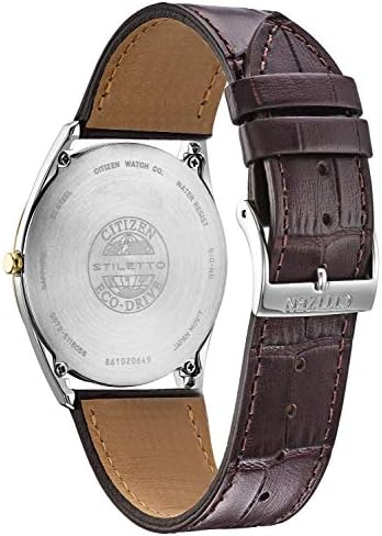 قیمت و خرید Citizen Watch Mens AR3074-03A Eco-Drive برند Citizen | مالتینا