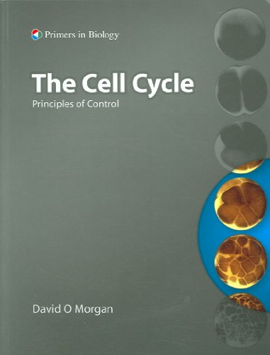 The Cell Cycle: Principles of Control 0878935088 Book Cover