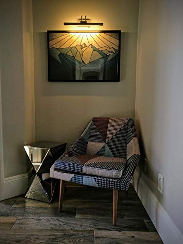 Leonlite Swivel Led Picture Light, Plug-In & Hardwired, Cri90, Full Metal Picture Frame Lighting For Wall Art, Painting, Swing Arm Artwork Lamp For Portrait, Bookshelf, 3000K Warm White, Satin Nickel #TOP3