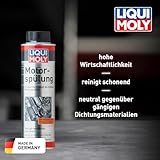 Motorinnenreiniger Test