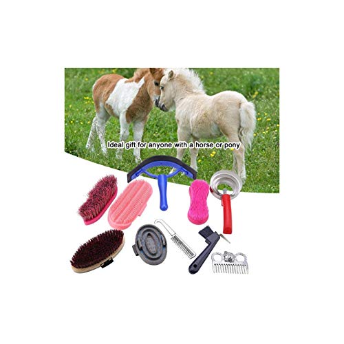 Equine Horse Grooming Kit, Horse Brush Set,10 Piece Equine Care Series Set Horse Cleaning Tool Brush Comb Grips Set Questrain Brush Curry Comb Horse Cleaning Tool Set #TOP1