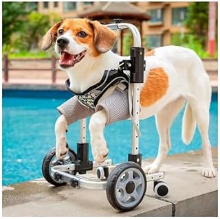Adjustable Small Dog Wheelchair for Front Legs - Lightweight 4-Wheeled Pet Mobility Cart, Ideal for Weak Front Limbs, Hip Support, and Leg Brace Assistance