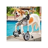 Dog Wheelchair for Front Legs 4-Wheeled, Adjustable Dog Carts with Wheels, Lightweight Pet Wheel Chair with Front Limb Walking Mobility Aids for Doggy Leg Brace Hip Support Legs Weak Pet(Small)