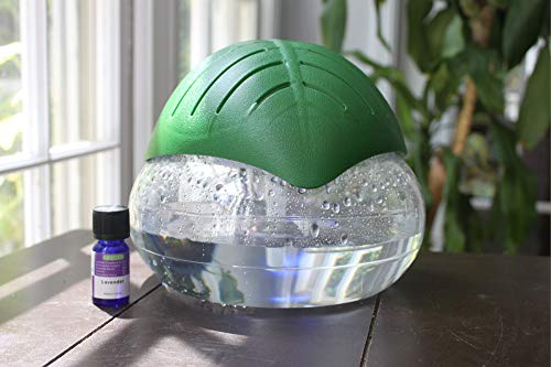 Ecogecko Green Leaf Air Revitalizer, Air Freshener, Room Aromatizer, Aromatherapy, Aroma And Essential Oil Diffuser With 30Ml Orange Peel And 30Ml Cinnamon Oil #TOP4