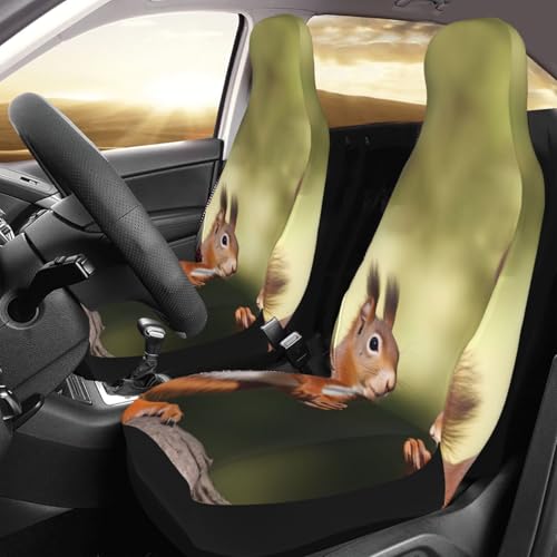 Housses de siège voiture étanches et antidérapantes motif écureuil