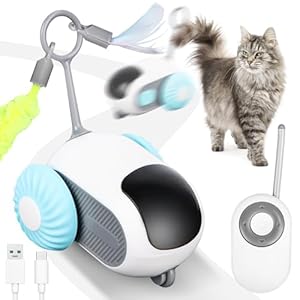 Jognee Ferngesteuertes intelligentes Katzenspielzeug, Interaktives Katzenspielzeug f&uuml;r Wohnungskatzen, Automatisches Schwerkraft-Auto-Spielzeug, Katzen-Maus-Spielzeug, bewegliches Katzenspielzeug