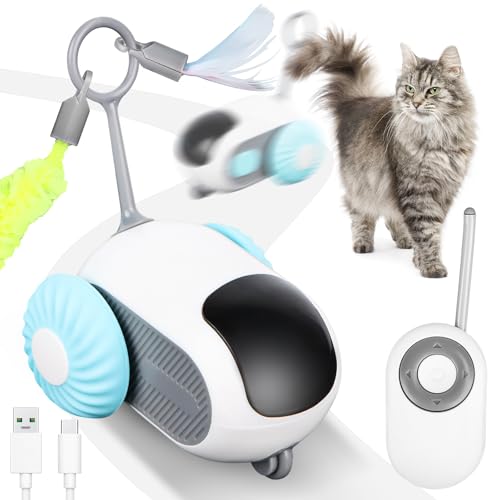 Jognee Ferngesteuertes intelligentes Katzenspielzeug, Interaktives Katzenspielzeug für Wohnungskatzen, Automatisches Schwerkraft-Auto-Spielzeug,...