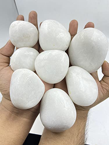 Bum Bum Bhole 25kg Double Polished Supper Big White Polished Pebbles for Garden & Home D?cor Planters, Aquarium Decoration, Fountain, Landscaping, Plants, Vase Decoration (50 to 75 MM) (B093FVY3S1) Amazon Price History, Amazon Price Tracker