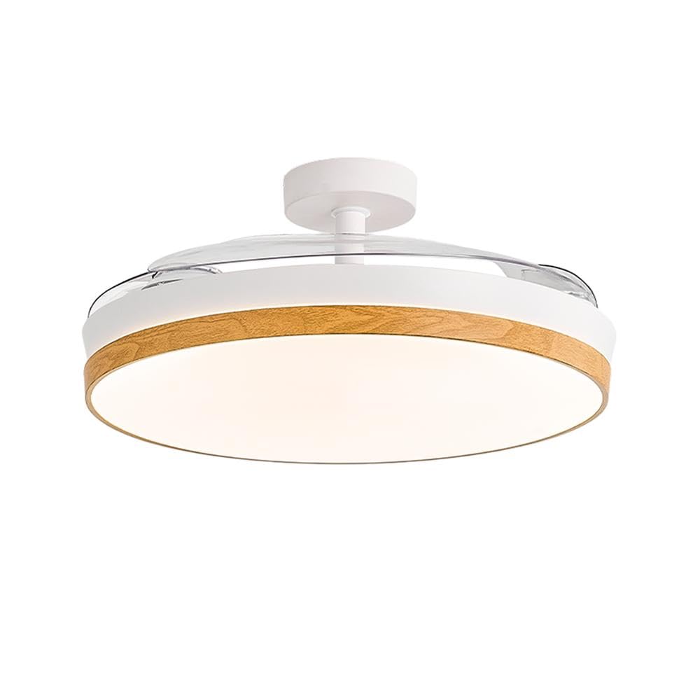 CONCEPT NATURE Ventilador de Techo con luz, Madera | Luz LED regulable, 3 tonos de luz, Motor DC, 6 velocidades, Mando a distancia, Temporizador 2H, Modo verano/invierno