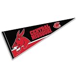 Central Missouri Mules Pennant Full Size Felt