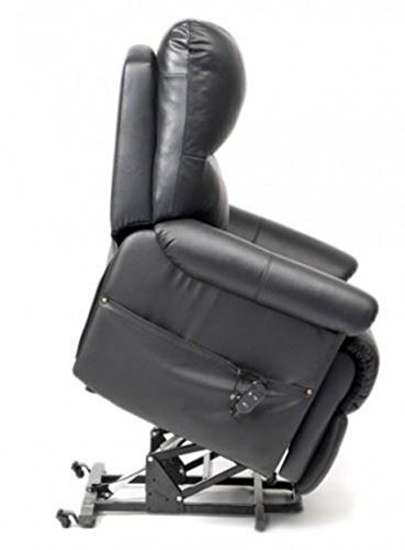 Borg Dual Motor Riser Recliner Chair Rise &