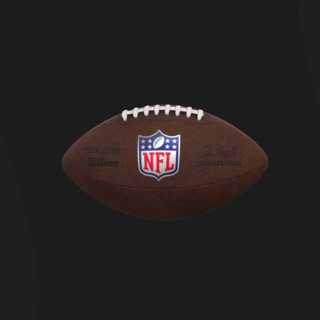 Amazon.com : WILSON The Duke NFL Metallic Edition Football