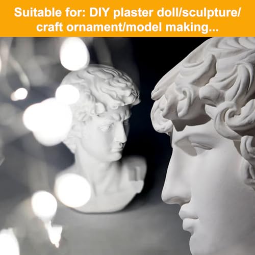Ninesung CASTING PLASTER 1 Pound Plaster Of Paris, Plaster Of Powder - Hand Mold Casting Kit Powder, Just Add Water - Plaster Powder For Crafts, Sculpture thumb #7