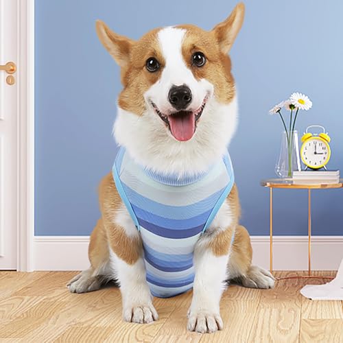 Image of Dog Recovery Suit for Dogs After Surgery,Dog Onesie for Surgery Male and Female,Abdominal Wounds Post Surgical Recovery, Prevent Licking Surgical Wound,Substitute E-Collar & Cone,M