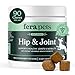 FERA Advanced Max-Strength Vet Formulated Glucosamine Chondroitin for Dogs - All Natural Hip and Joint Supplement with MSM, Omega-3, Vitamin C, Hyaluronic Acid, Organic Turmeric (90 soft chews)