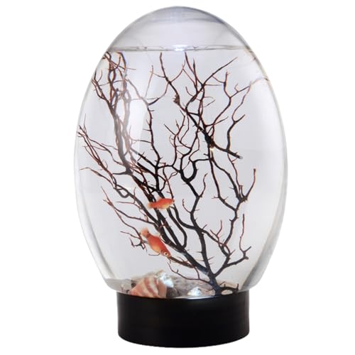 Mini Fish Tank with LED Light and Self-Sustaining Ecosystem