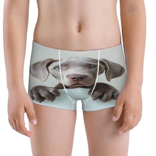 Boys' Cotton Boxer Brief Soft Underwear-Adorable Puppy Portrait