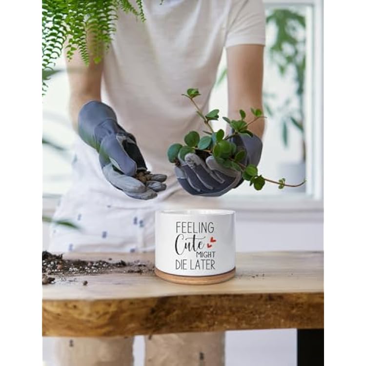 orchid potting mix Fertilome Orchid Mix