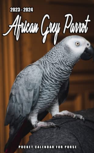 Top 11 Best Parrot Calendars 2023 - CalendarBuy.com