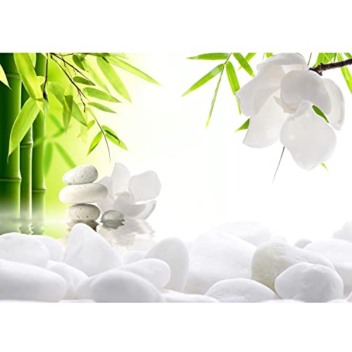 Runa Art Papel tapiz fotográfico 396 x 280 cm Flor de Feng Shui | Lana Decoración De Pared Sala Cuarto | Fabricación alemana | Verde blanco 9300012a