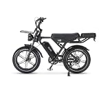 OUXI H9 E-Bike 20 Zoll Fatbike Elektrofahrrad Pedelec, 250W Motor 60Nm, 48V 15Ah Akku...