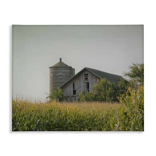 Stupell Industries Soothing Countryside Barn, 16 x 20 Inch Canvas Wall Art