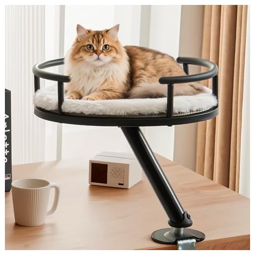 IFNOW Cat Desk Bed - Work and Play