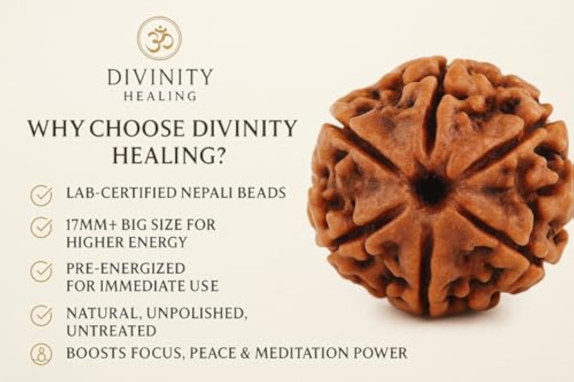 Big Size 5 Mukhi Rudraksha Certified Original Nepali Bead for Meditation
