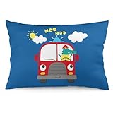 Elle peut également être utilisée comme taie d'oreiller décorative dans la décoration de la maison ou utiliser cette taie d'oreiller comme accessoire photo sur les réseaux sociaux pour de belles photos, également parfaite pour l'été dans une pièce climatisée ou l'hiver tout en regardant la télévision.