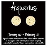 Dainty 18K Yellow Gold Plated Aquarius Sign Stud Earrings Birthday Gift