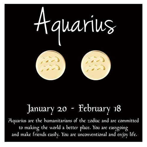 Dainty 18K Yellow Gold Plated Aquarius Sign Stud Earrings Birthday Gift #TOP8