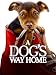 A Dog's Way Home