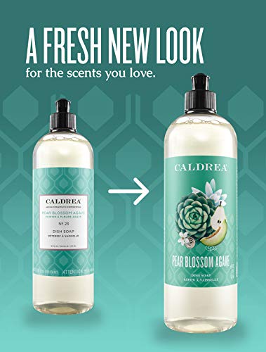 Caldrea Dish Soap, Biodegradable Dishwashing Liquid Made With Soap Bark And Aloe Vera, Pear Blossom Agave Scent, 16 Oz #TOP2