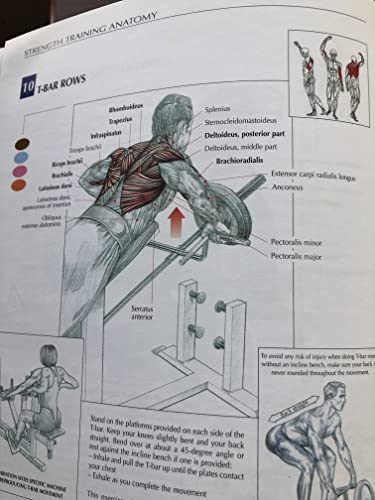 Human Kinetics Delavier, Frederic Strength Training Anatomy thumb #4