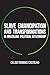 Slave Emancipation and Transformations in Brazilian Political Citizenship (Pitt Latin American Series)