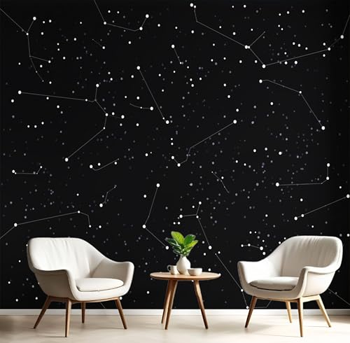 Papier Peint Panoramique Encre Noire 300X210Cm Constellations