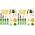 child-size (Pack of 2)
