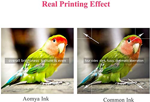 Aomya 2 Bottle Black Universal Dye Ink Refill Kit 100ml for HP Canon Epsn Brother Lexmark Printers Compatible Cartridges Refillable Cartridge CISS CIS System with 1 Free Syringe