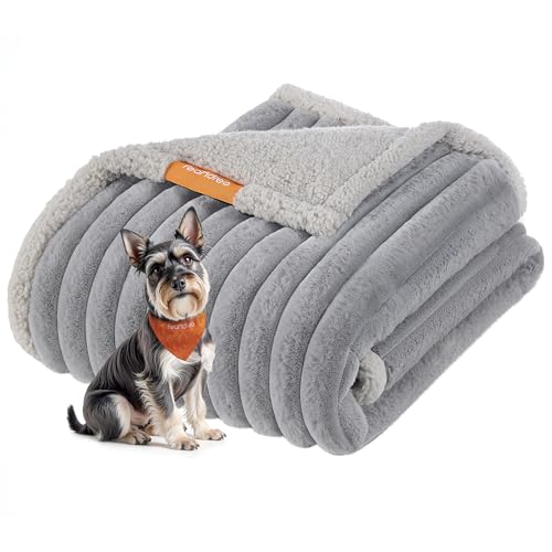 Feandrea Alfombra Impermeable para Perros