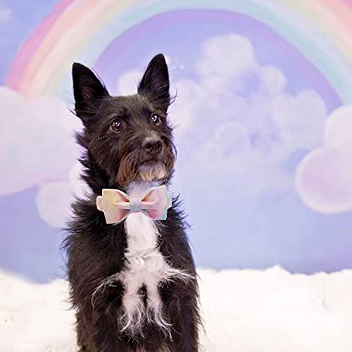 Image of Elegant little tail Colorful Dog Collar, Comfortable Dog Collar with Bow Adjustable Soft Bow tie Dog Collars for Medium Dogs