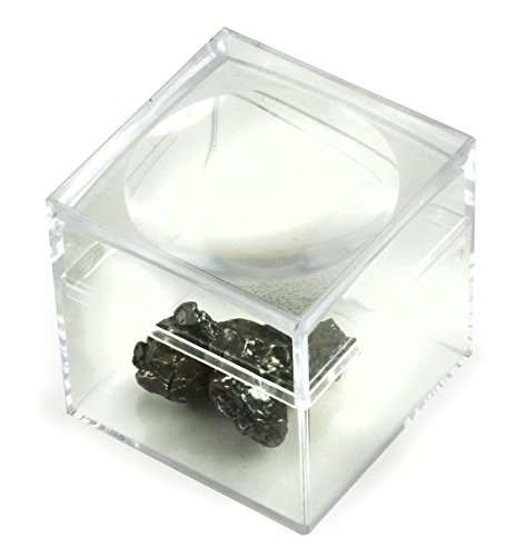 Dancing Bear Genuine Meteorite (15-20 Grams) From Campo Del Cielo In Argentina. Bonus: Tektite (2.5-4.5 Grams), Certificate Of Authenticity, Educational Info Cards And Display Box, Brand #TOP3