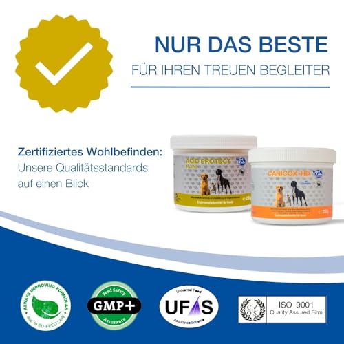 NutriLabs Acid Protect Hund Magenkräuter Kautabletten zur Unterstützung bei empfindlichem Magen, mit Montmorillonit & Estifor Kautabletten, 10 Kautabletten