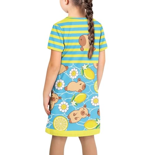 Little Girls Capybara Dress Summer Cute Clothes Home Play Skater Midi T-Shirt Dress for Kids 3-4T Loose Fit2